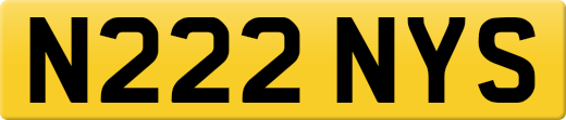 N222NYS