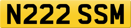N222SSM