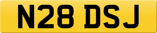 N28DSJ