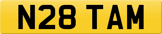N28TAM