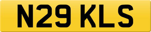N29KLS