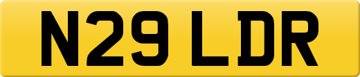 N29LDR