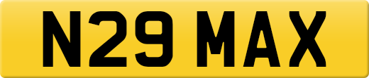 N29MAX