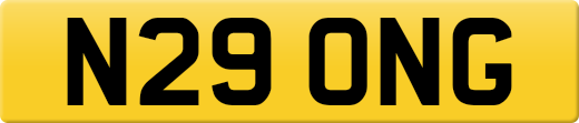 N29ONG
