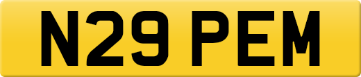 N29PEM