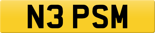N3PSM