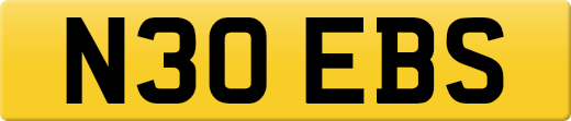 N30EBS