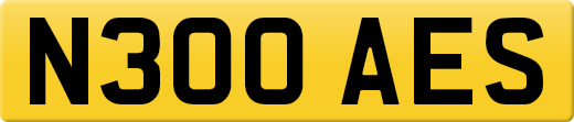 N300AES