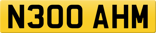 N300AHM