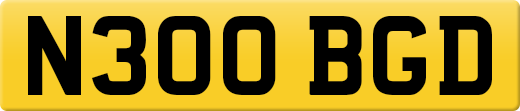 N300BGD