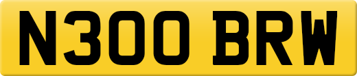 N300BRW