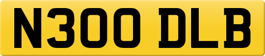 N300DLB