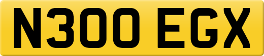 N300EGX
