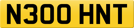 N300HNT