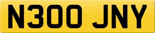 N300JNY