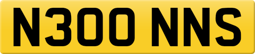 N300NNS