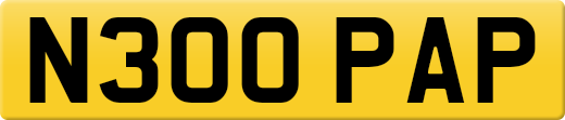 N300PAP