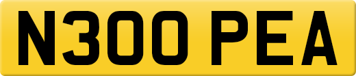 N300PEA