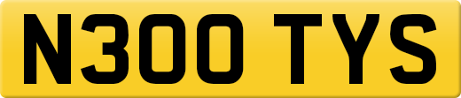 N300TYS