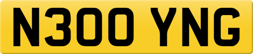 N300YNG