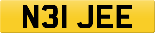 N31JEE