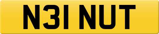 N31NUT