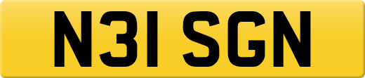 N31SGN