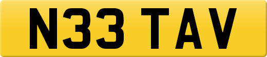 N33TAV