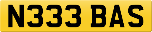 N333BAS