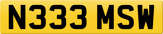 N333MSW