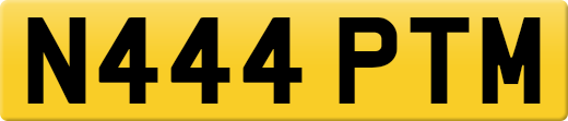 N444PTM
