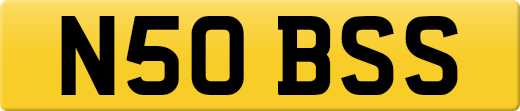 N50BSS