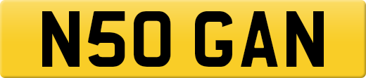 N50GAN