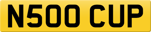 N500CUP