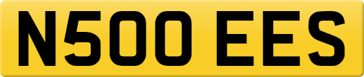 N500EES