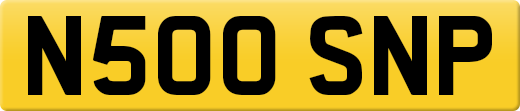 N500SNP