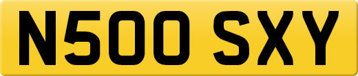N500SXY