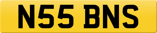 N55BNS