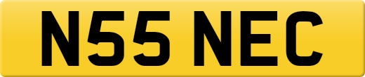 N55NEC