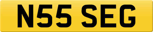 N55SEG
