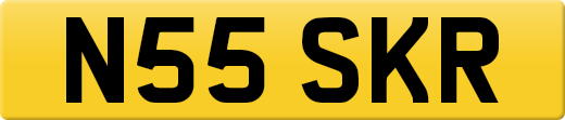N55SKR