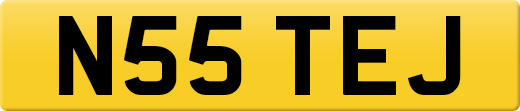N55TEJ