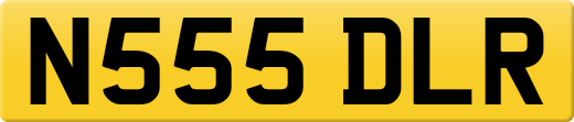 N555DLR