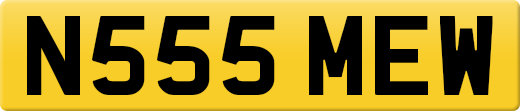 N555MEW