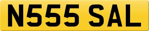 N555SAL
