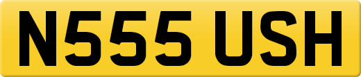 N555USH