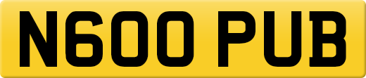 N600PUB