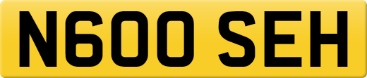 N600SEH