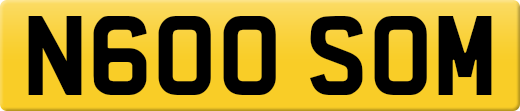 N600SOM