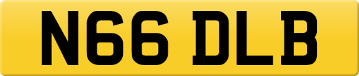 N66DLB